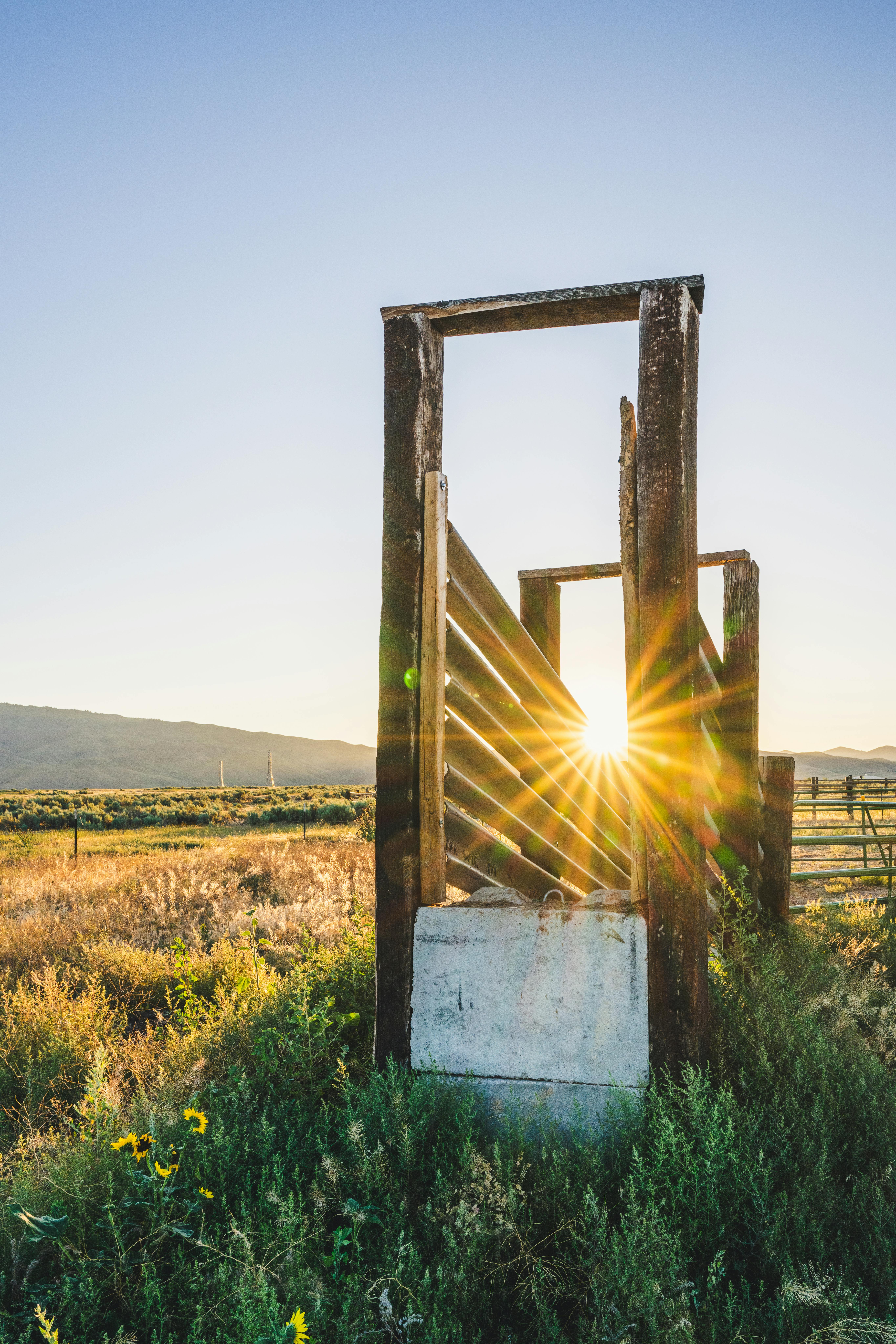 pexels-brett-sayles-27555481 Idaho